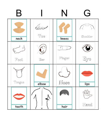 BODY PARTS Bingo Card