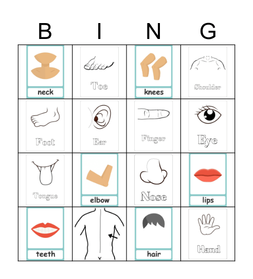 BODY PARTS Bingo Card