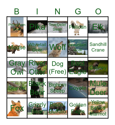 Wildlife Bingo Card