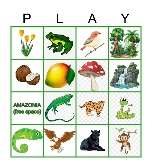 AMAZONIA Bingo Card
