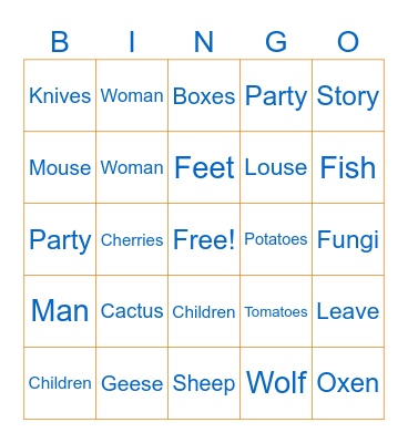 Singular and Plural Nouns Bingo Card