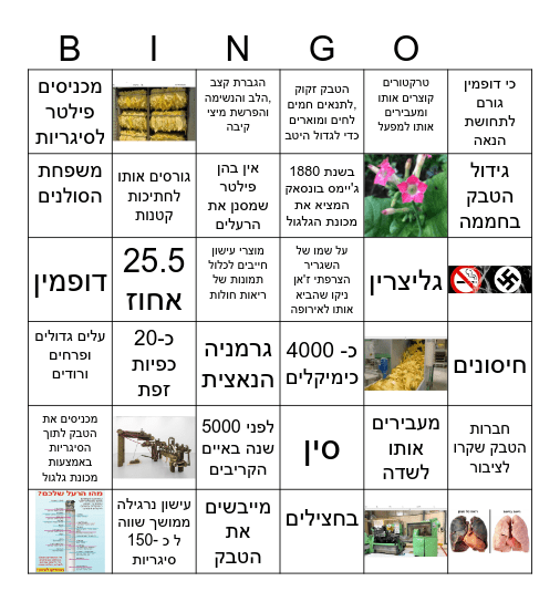 ייצור הסגריות ומדוע הן מזיקות Bingo Card