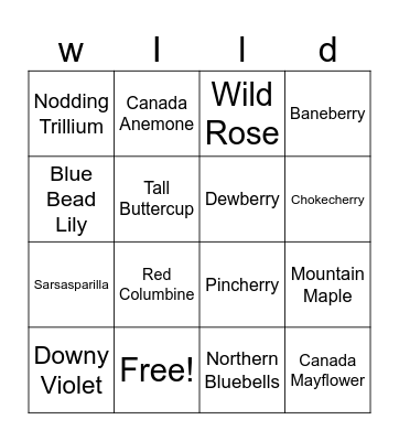 Wildflower Walk Bingo Card