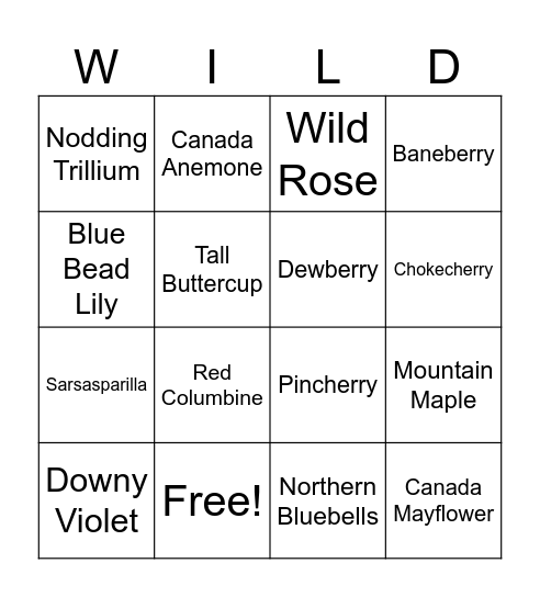 Wildflower Walk Bingo Card