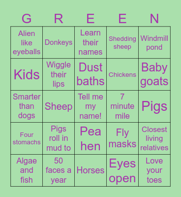 Animal fun! Bingo Card