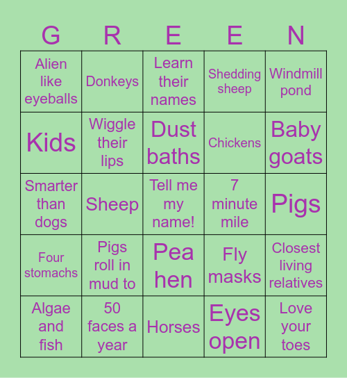 Animal fun! Bingo Card