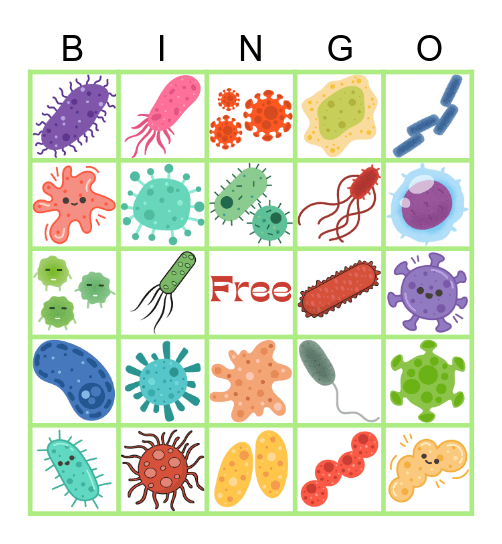 GUT HEALTH BINGO! Bingo Card