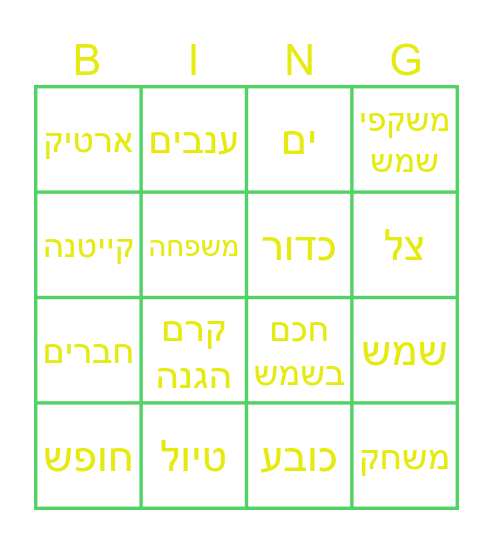 בינגו קיץ Bingo Card
