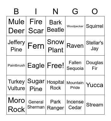 Sequoia Bingo Card