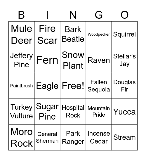 Sequoia Bingo Card