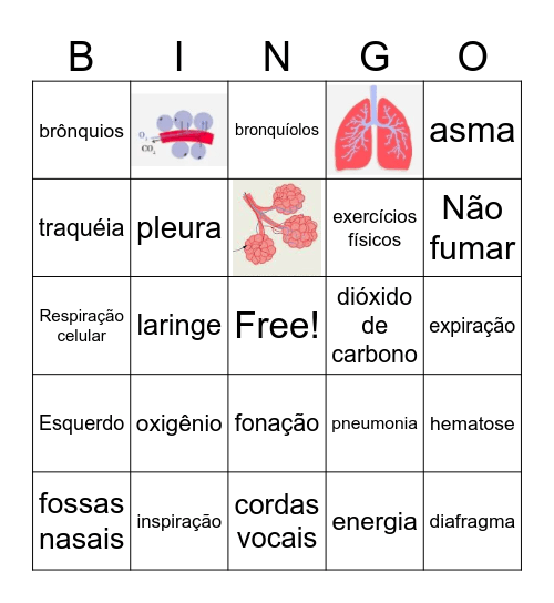 Sistema Respiratório Bingo Card