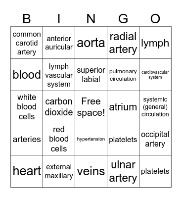 Circulatory System Bingo Card