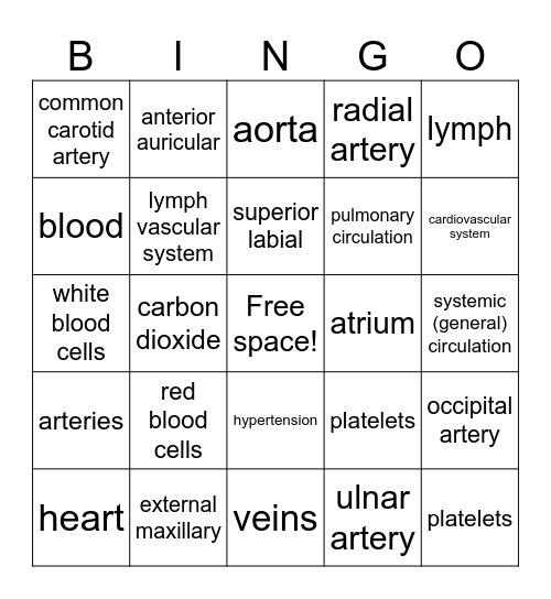 Circulatory System Bingo Card