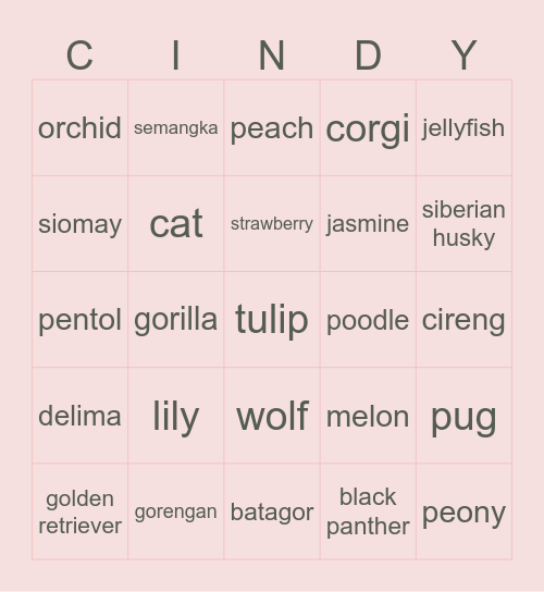 wolfie bing-o Bingo Card