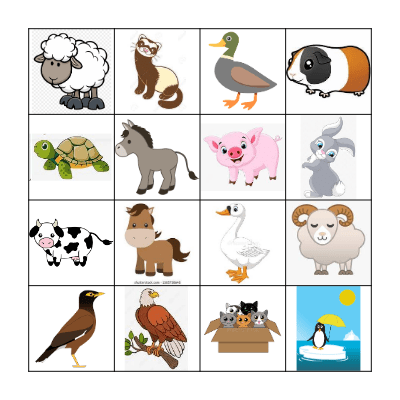 Animal Bingo 2 Bingo Card