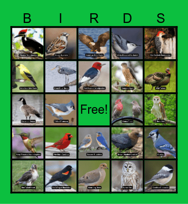 Fun With Nature Bingo Card