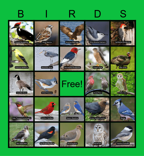 Fun With Nature Bingo Card