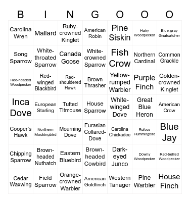 Louisiana Birds Bingo Card