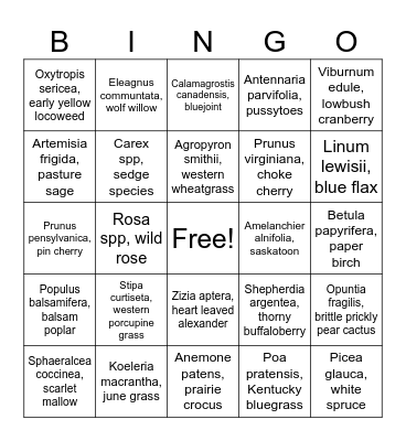 2025 North Agrologist Plant Bingo Card
