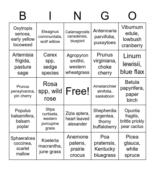 2025 North Agrologist Plant Bingo Card