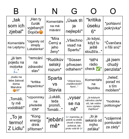 IDM ÚSEK 3 Bingo Card