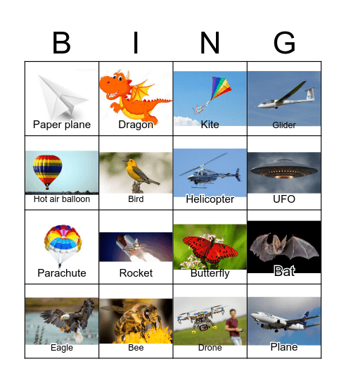 Things That Fly Bingo Card