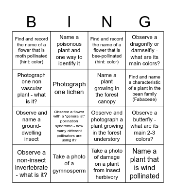 Nature Walk Bingo Card