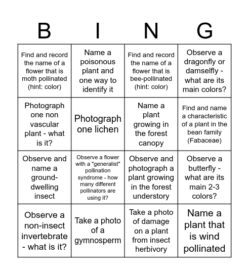 Nature Walk Bingo Card