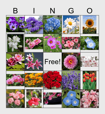 FLOWERS BINGO Card