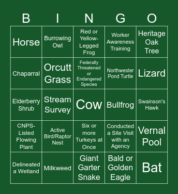 Acorn Field Work Bingo! Bingo Card