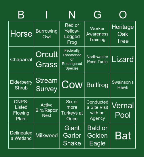 Acorn Field Work Bingo! Bingo Card