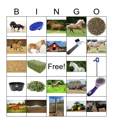 HORSE & FARM THEMED Bingo Card