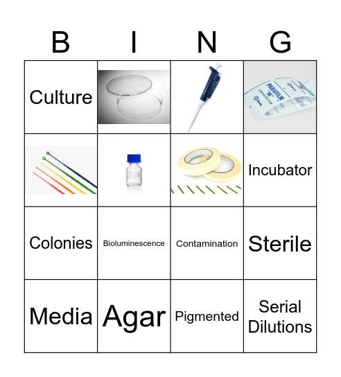 Microbiology word bingo Card