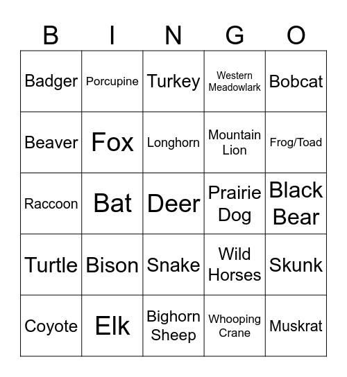 Dakotas Bingo Card