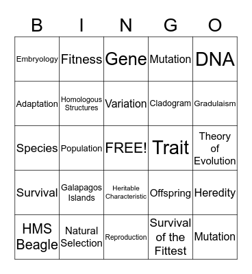 Evolution Bingo Card