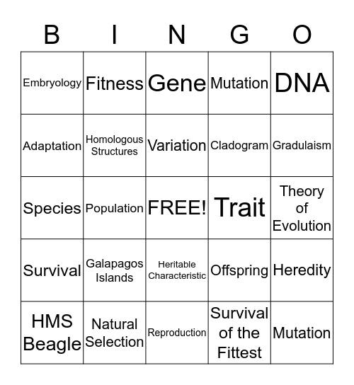 Evolution Bingo Card