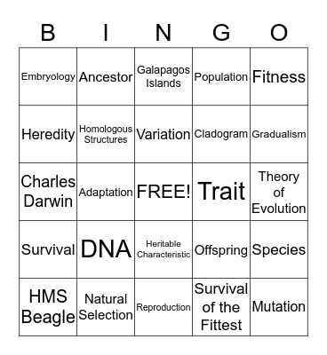 Evolution Bingo Card