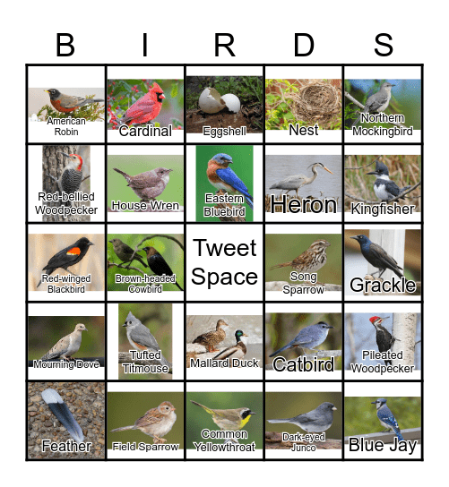 BIRDS Bingo Card