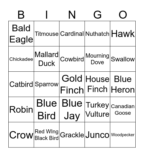 Birds of Chester County Bingo Card