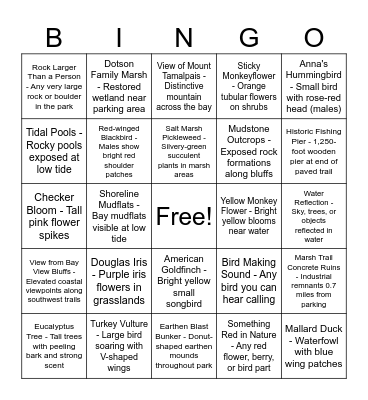 Summer Solstice Bingo Card