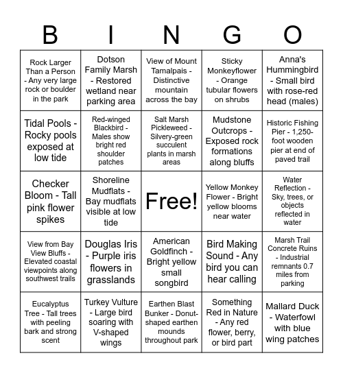 Summer Solstice Bingo Card