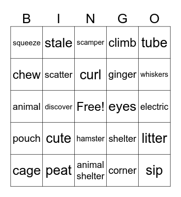 Looking after a hamster Bingo Card