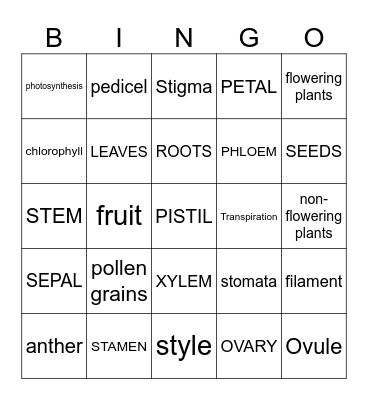 PLANTS Bingo Card
