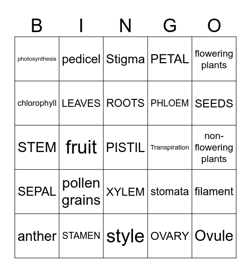 PLANTS Bingo Card