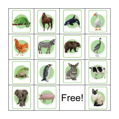 Animals Bingo Card