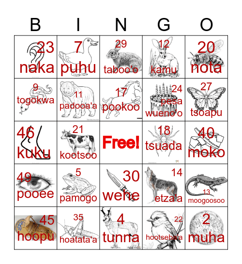 NUMU/PAIUTE BINGO Card