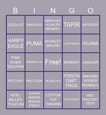 ANIMALS Bingo Card