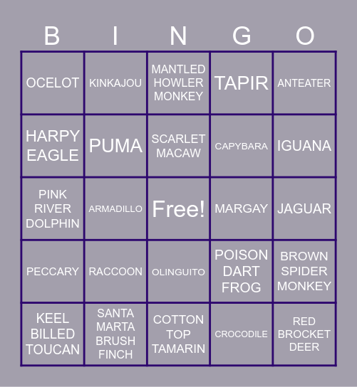 ANIMALS Bingo Card
