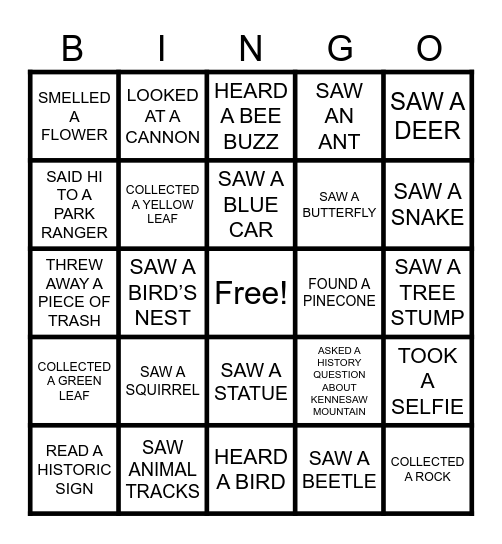 KENNESAW MOUNTAIN Bingo Card