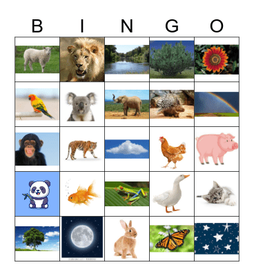 NATURE pics Bingo Card